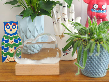 Bitten Storm Cloud Wetterstation