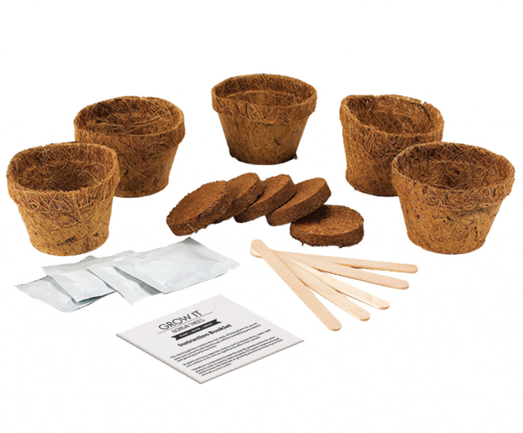 Gift Republic Grow It Kweekset - Bonsai Bomen