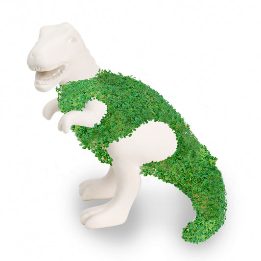 Gift Republic Blumentopf mit Chiasamen - Saurus-Rex