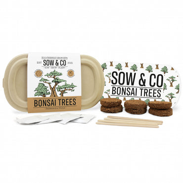 Gift Republic Sow & Co Growing Kit - Bonsai Trees