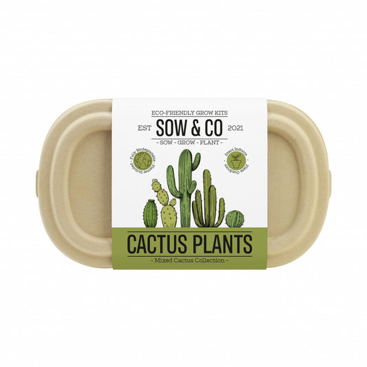 Gift Republic Sow & Co Growing Kit - Cactus Plants