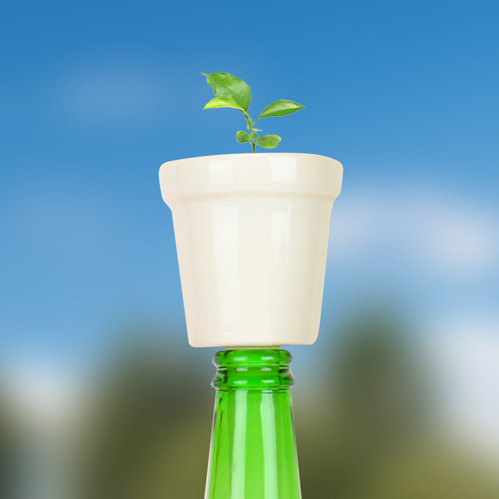 Gift Republic Botanical Bottles Kweekset - Bonsai Bomen