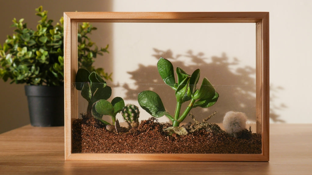 Gift Republic DIY-Kit – Vertikaler Garten