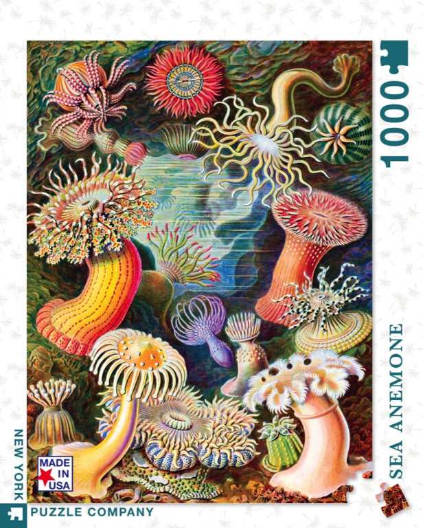 New York Puzzle Company Puzzel Zeeanemonen - 1000 stukjes