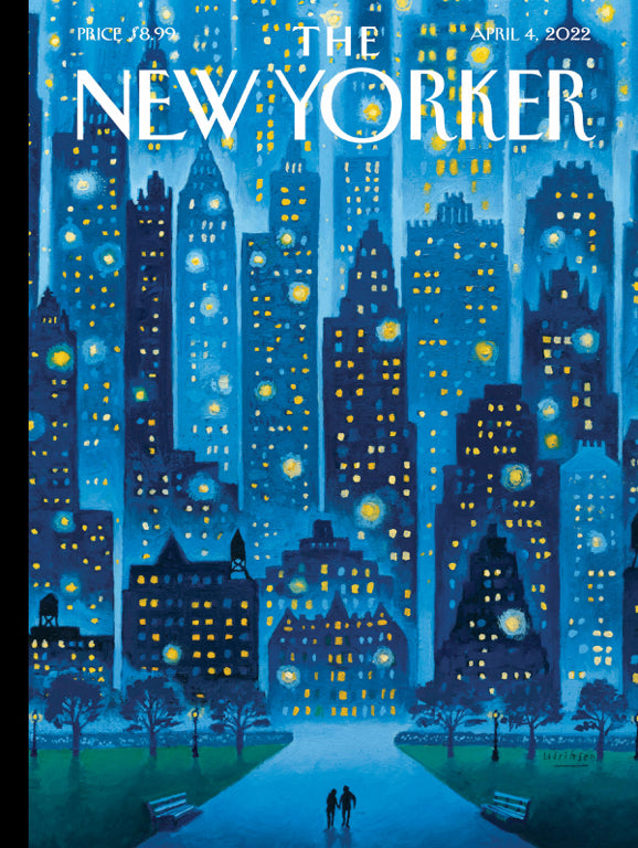 New York Puzzle Company Puzzel - Stellaire Nacht - 1000 stukjes