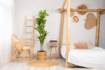 NeverLeafs Agave Deluxe Kunstpflanze - 170 cm