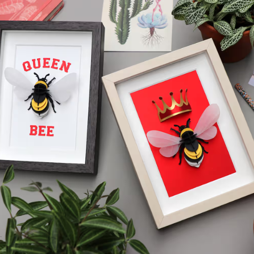 Assembli D.I.Y. Bumble Bee Hommel