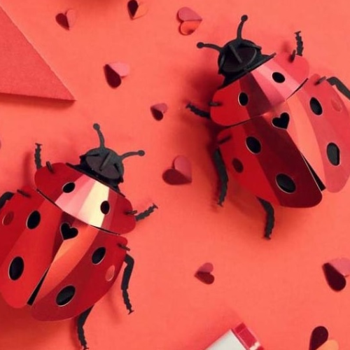 2 Assembli lieveheersbeestjes papieren 3D puzzel op rode achtergrond