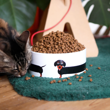 Fluid Market voederbak hond sfeer