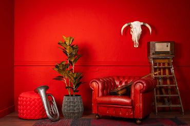 NeverLeafs Rubberboom kunstplant 140 cm - Ficus elastica met 3 stammen
sfeerafbeelding