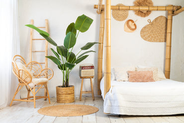 NeverLeafs künstliche Strelitzie 200 cm, realistische Haptik