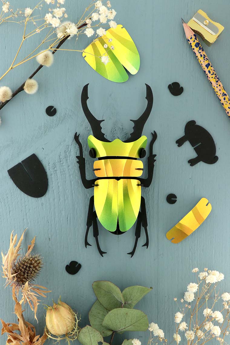 Assembli Paper Stag beetle small