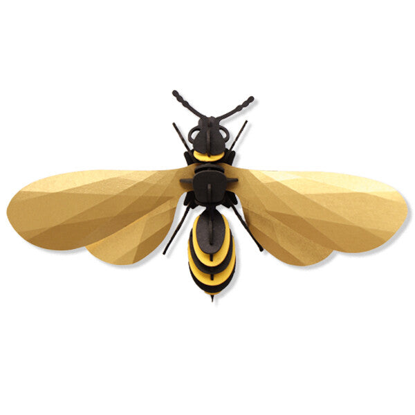 Assembli Papierwespe 3D Insekt