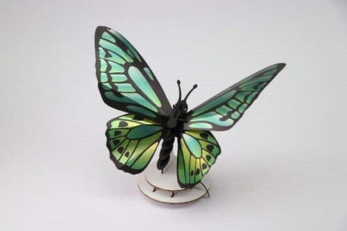 Assembli paper Green Birdwing Butterfly