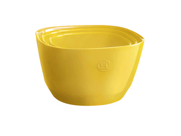 Emile Henry Saladeschaal - 260x260x150mm - Provence