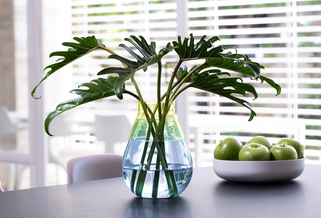 Peleg Design Zweifarbige Vase - Blau