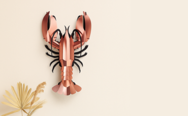 D.I.Y. 3D puzzels van Assembli – bouw je eigen insecten en vlinders