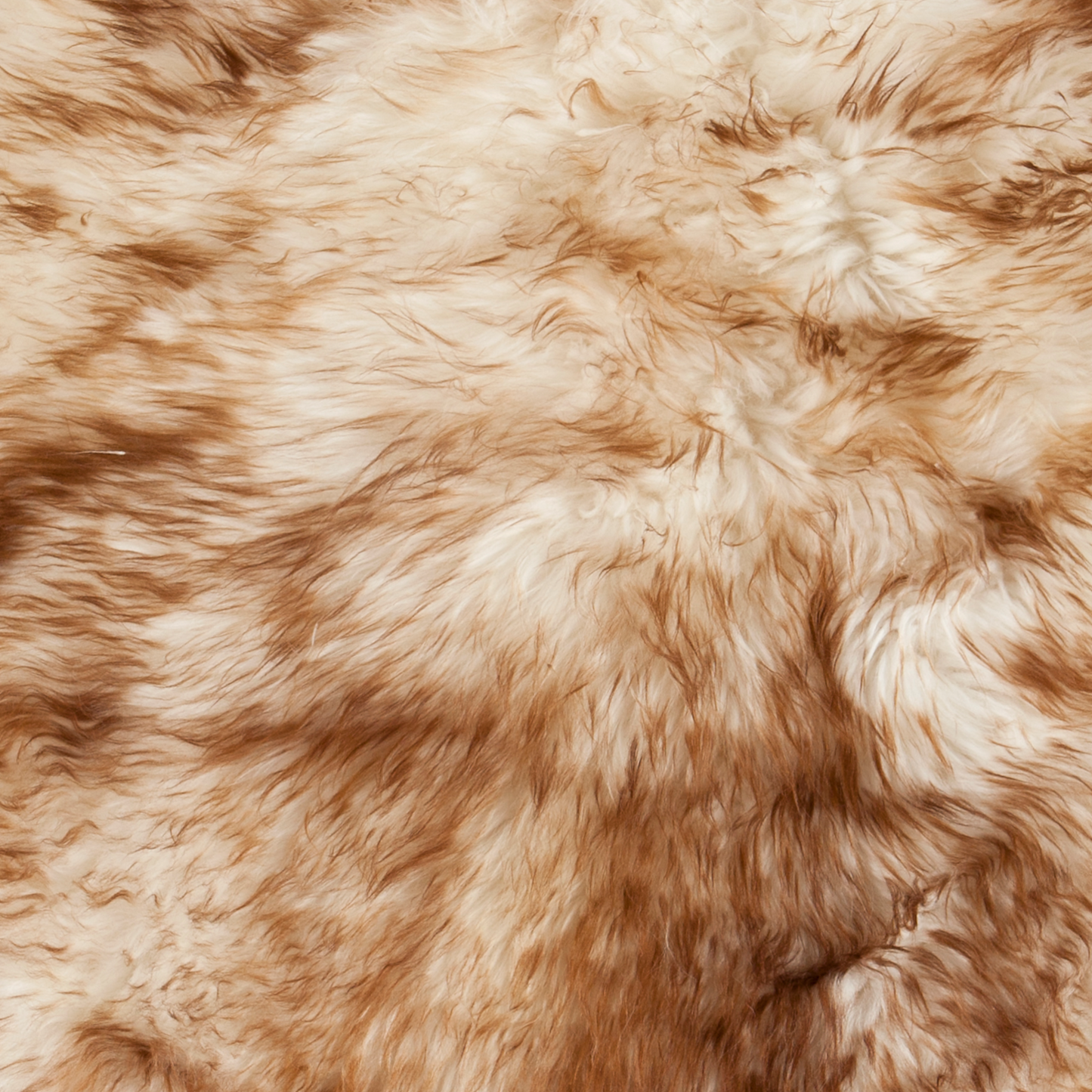 Dyreskinn Schapenvacht Mouflon 100 x 65cm