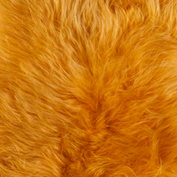 Dyreskinn IJslandse schapenvacht - Geel - 100 x 65 cm
