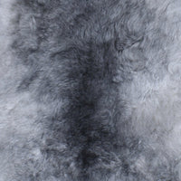 Dyreskinn IJslandse schapenvacht Naturel grijs kort - 100 x 65 cm
