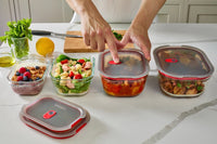 Black+Blum set glazen voedseldozen, gemengd (XS/S/M/L) - maaltijdvoorbereiding - set van 4