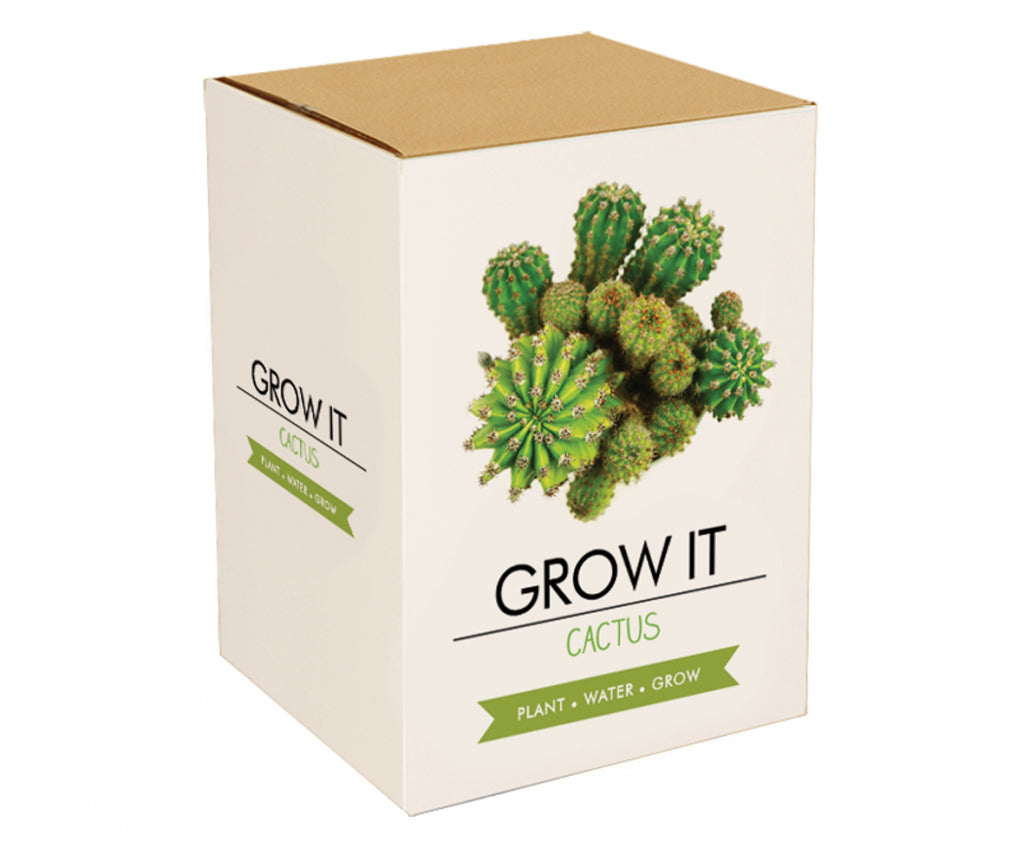 Gift Republic Grow It Kweekset - Cactusplanten