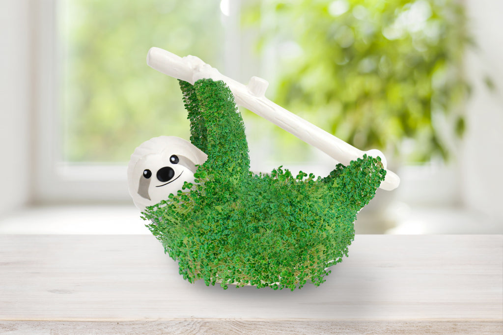 Gift Republic Plantenpot met chiazaden - Luiaard