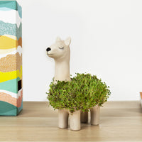 Gift Republic Plantenpot met chiazaden - Llama sfeer