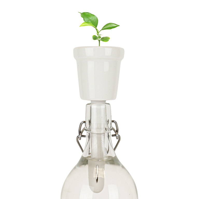 Gift Republic Botanical Bottles Kweekset - Koffie