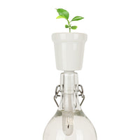 Gift Republic Botanical Bottles Kweekset - Koffie