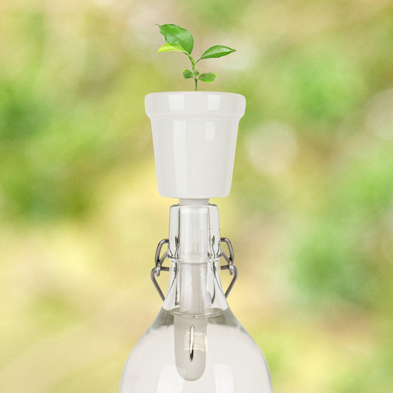 Gift Republic Botanical Bottles Kweekset - Koffie