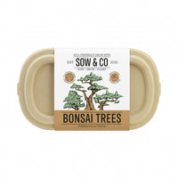 Gift Republic Sow &amp; Co Growing Kit - Bonsai Trees