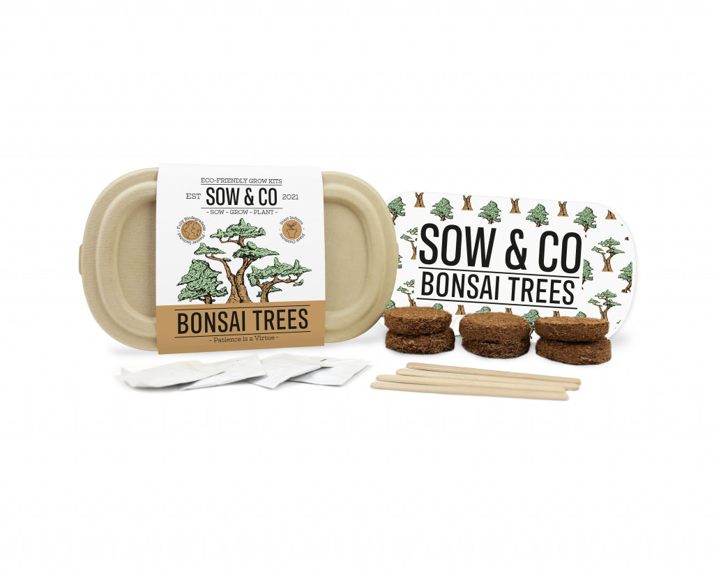 Gift Republic Sow &amp; Co Growing Kit - Bonsai Trees