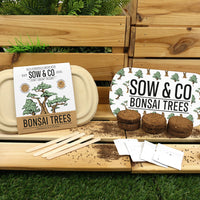 Gift Republic Sow &amp; Co Growing Kit - Bonsai Trees