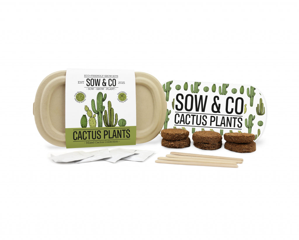 Gift Republic Sow & Co Kweekset - Cactusplanten