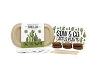 Gift Republic Sow & Co Kweekset - Cactusplanten