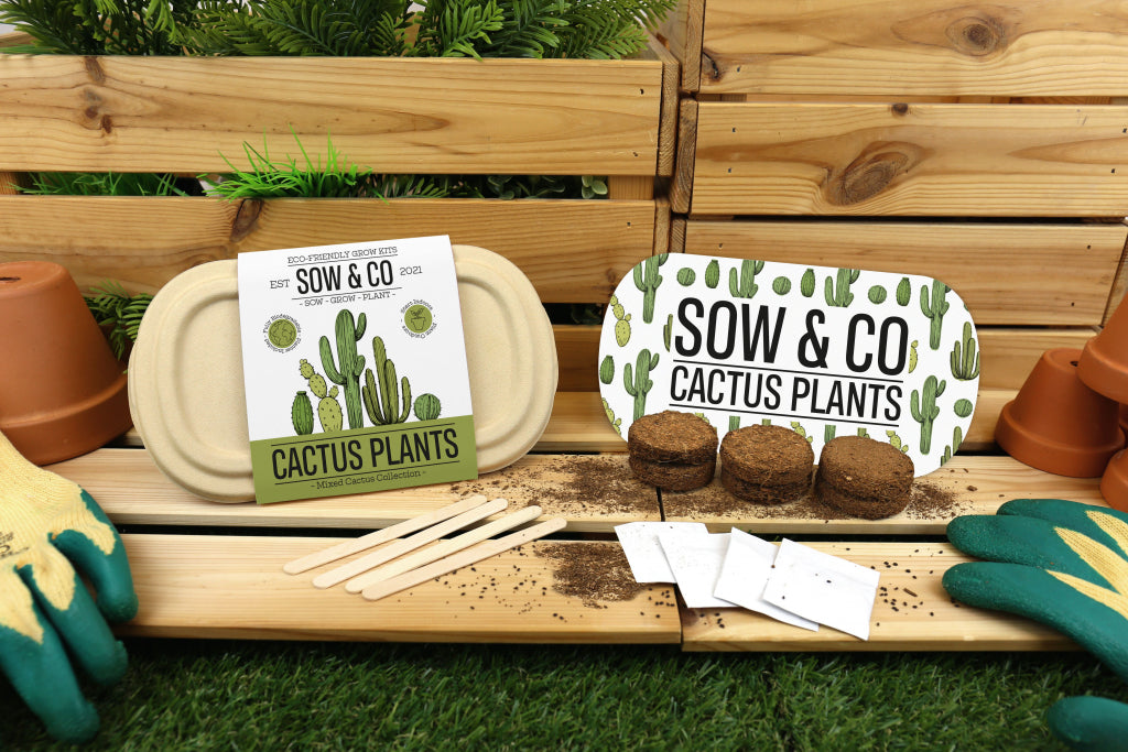 Gift Republic Sow & Co Kweekset - Cactusplanten
