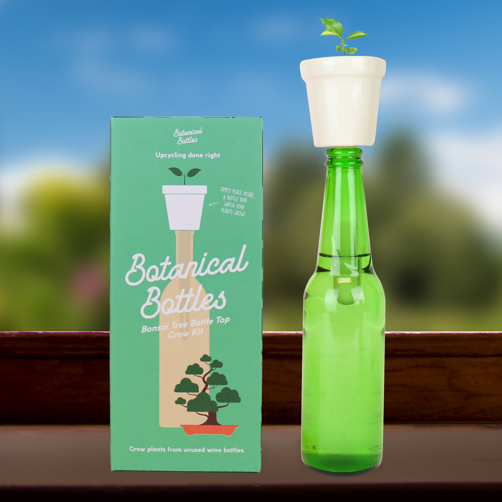Gift Republic Botanical Bottles Kweekset - Bonsai Bomen