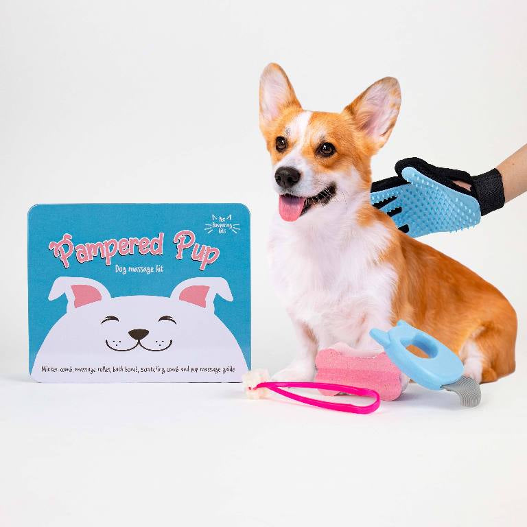 Gift Republic Massageset - Hund