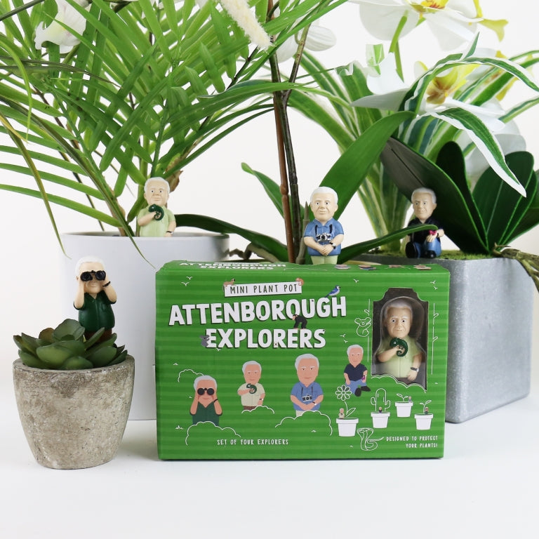 Gift Republic Plantenpot decoratie - Attenborough Explorers