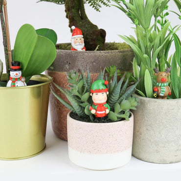Gift Republic Plant Pot Decoration - Festive