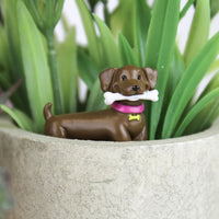 Gift Republic Plantenpot decoratie - Schattige Honden