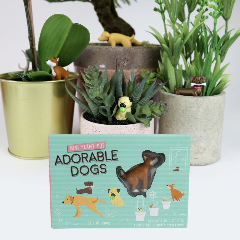 Gift Republic Plantenpot decoratie - Schattige Honden