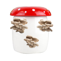 Gift Republic Grow It Kweekset - Champignon