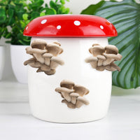 Gift Republic Grow It Kweekset - Champignon
