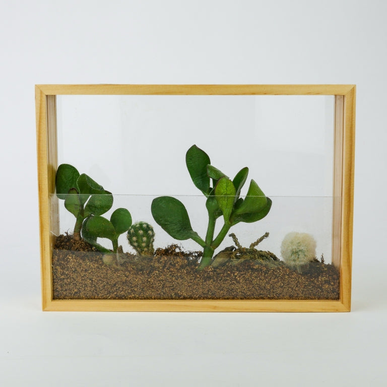 Gift Republic DIY-Kit – Vertikaler Garten