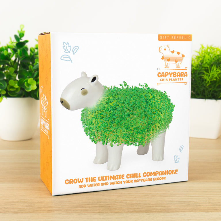 Gift Republic Plantenpot met chiazaden - Capybara