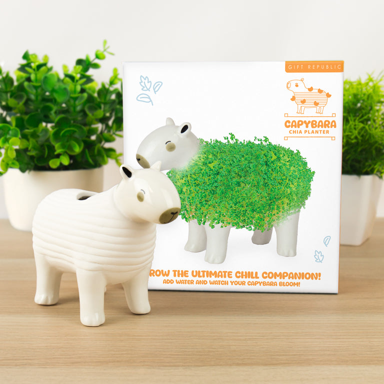 Gift Republic Plantenpot met chiazaden - Capybara