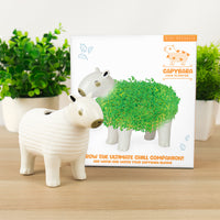 Gift Republic Plantenpot met chiazaden - Capybara
