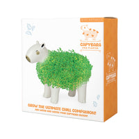 Gift Republic Plantenpot met chiazaden - Capybara